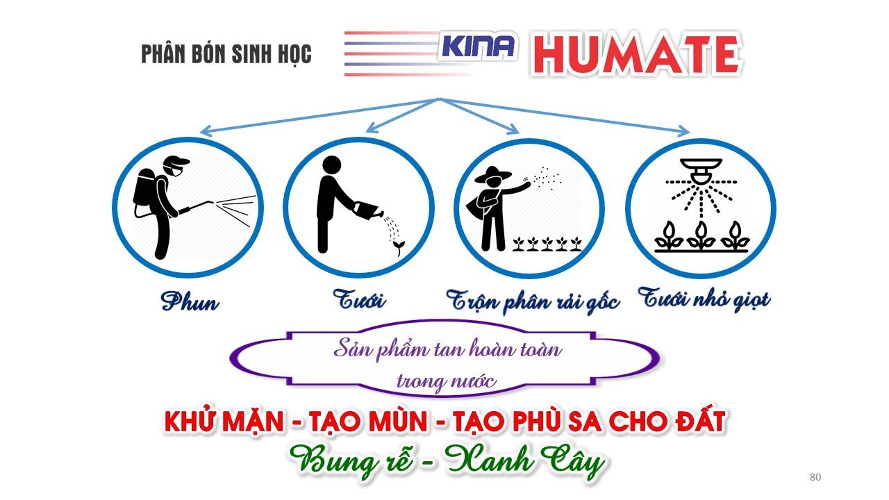 Phân bón sinh học Kina Humate - Gói 1kg